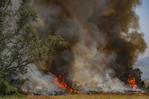 Widok duego poaru, który zosta wywoany przez rakiety wystrzelone z Libanu w pobliu kibucu Kfar Szold w pónocnym Izraelu, 14 czerwca 2024 r. Zdjcie: Ayal Margolin/Flash90.