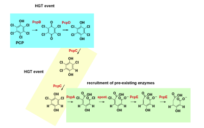 ródo: Genome Biol. Evol. 4(2):184–198. doi:10.1093/gbe/evr137