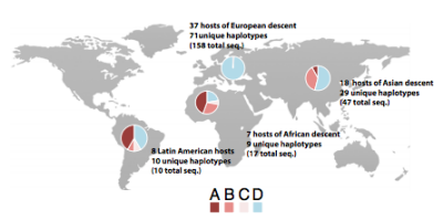 Figure (caption from paper): Frequency of clade recovery according to the geographic region of host ancestry. Clades A, B, C, and D were recovered from African and Latin American hosts; Asian participants hosted only clades A, B, and D; Europeans primarily hosted mites from clade D. Sequences with missing data were excluded from host and haplotype counts.