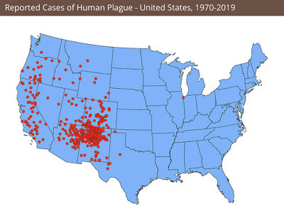 Miejsca gdzie w USA utrzymuje si bakteria Yersinia pestis.