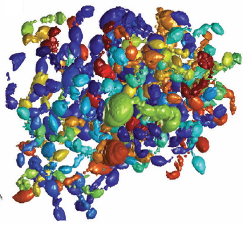 CT-scan kuli mrówek. Nogi zostay usunite cyfrowo, eby atwiej byo zobaczy pojedyncze osobniki. Zdjcie: Foster et al, 2014. J Exp Biol.