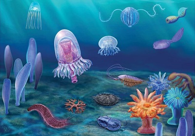 <div>Rekonstrukcja fauny, z artykuu. Fig. 4 from paper. Artist’s rendering of the Qingjiang biota showing characteristic early Cambrian taxa from the Lagerstätte.</div>