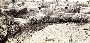 Zdjcie starej Gazy