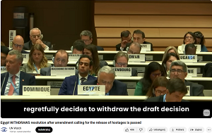 The Arab countries have decided to withdraw the resolution condemning Israel for a number of reasons. (Image credit: https://www.youtube.com/watch?v=vtrGUVFzO-Y)