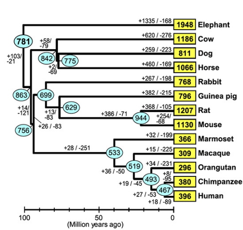 Niiumura et al http://genome.cshlp.org/content/early/2014/07/16/gr.169532.113