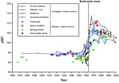 (from paper): Fig. 1 Radiocarbon chronologies of the North Atlantic Ocean. Radiocarbon levels (pMC) of different origin (inorganic and dietary) over the past 150 years are shown. Open symbols (connected) reflect radiocarbon in marine carbonates (inorganic carbon source) of surface mixed and deeper waters (26, 36–38). Solid symbols reflect radiocarbon in biogenic archives of dietary origin (11, 14, 22, 24). The dashed vertical line indicates the bomb pulse onset in the marine food web in the early 1960s.