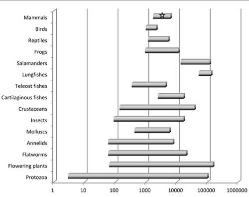 Z Palazzo i Gregory, PLOS Genetics 2014. Rozmiar genomu podany w tysicach zasad. Gwiazdka oznacza ludzi.