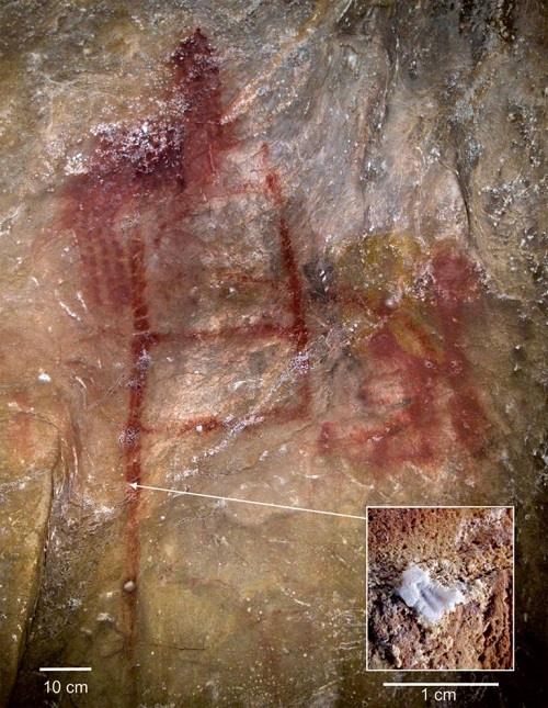 Fig. 1 Red scalariform sign, panel 78 in hall XI of La Pasiega gallery C. This panel features the La Trampa pictorial group (21). (Inset) Crust sampled and analyzed for a minimum age (64.8 ka), which constrains the age of the red line.
