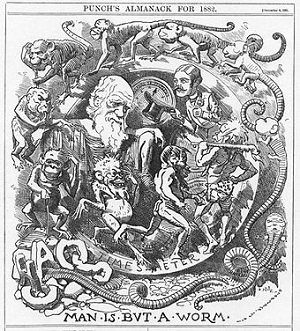 Rysunek z magazynu “Punch” z 1882 roku (ródo: Wikipedia)