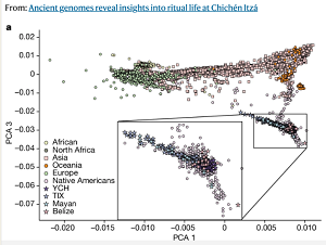 (Z artykuu): a, PCA (Principal components analysis) przedstawiajce staroytne jednostki Chichén Itzá (YCH) i dzisiejszy Tixcacaltuyub (TIX) na ogólnowiatowym wykresie PCA.