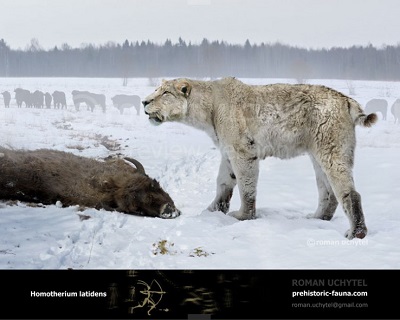 By wielkoci mniej wicej samca afrykaskiego lwa Prehistoric Fauna</a> wyglda tak (prosz zauway szablasty zb i krótki ogon)