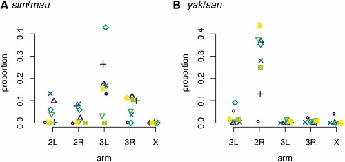 (Caption from paper): The proportion of genomic windows where both parental species’ ancestry still segregated varied across chromosomes. Each point represents the proportion of 5-kb genomic windows that have evidence for both parental ancestries still segregating after 20 generations following initial hybridization between the parental species. (A) D. simulans/D. mauritiana; (B) D. yakuba/D. santomea.