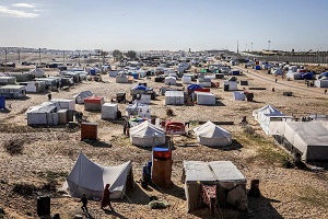 Przesiedleni Palestyczycy rozbijaj namioty przy granicy Egiptu z miastem Rafah w poudniowej czci Strefy Gazy, 8 marca 2024 r. Zdjcie: Abed Rahim Khatib/Flash90.