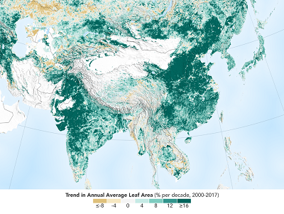 Trend wzrostu zazielenienia Ziemi. (ródo:  NASA Earth Observatory)