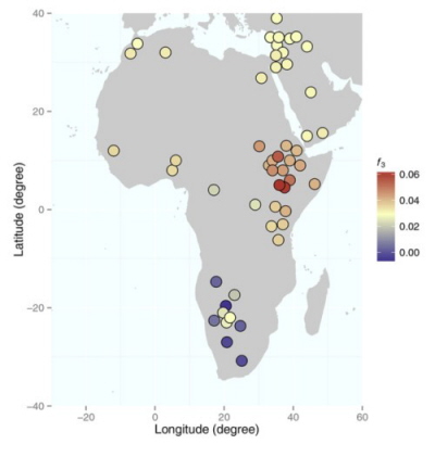 Mapa pokazujca proporcj skadnika zachodnio euroazjatyckiego, λMota,LBK, na caym kontynencie afrykaskim. (Gallego Lllorente et al. in press)