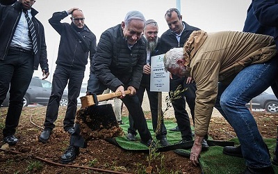 Premier Benjamin Netanjahu sadzi drzewo oliwne w dzielnicy Netiv Ha’avot w osiedlu Elazar na Zachodnim Brzegu, 28 stycznia 2019 roku. (Marc Israel Sellem/Pool)