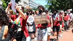 Queer Bloc na antyizraelskim protecie w Londynie, 25 listopada 2023. Zrzut ekranu.