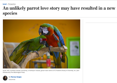https://www.washingtonpost.com/gdpr-consent/?destination=%2flocal%2fan-unlikely-parrot-love-story-may-have-resulted-in-a-new-species%2f2020%2f01%2f03%2f115bf68a-2e66-11ea-bcd4-24597950008f_story.html%3f