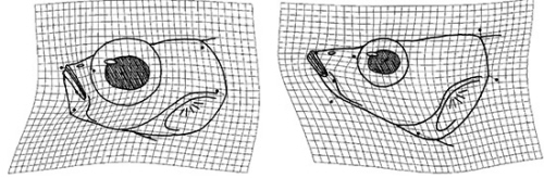 Wund et al, American Naturalist 2008 http://www.jstor.org/stable/10.1086/590966