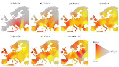 Caption (from Nature): Interpolated time slices of the frequency of dairy fat residues in potsherds (colour hue) and confidence in the estimate (colour saturation) using two-dimensional kernel density estimation. Bandwidth and saturation parameters were optimized using cross-validation. Circles indicate the observed frequencies at site-phase locations. The broad southeast to northeast cline of colour saturation at the beginning of the Neolithic period illustrates a sampling bias towards earliest evidence of milk use. Substantial heterogeneity in milk exploitation is evident across mainland Europe. By contrast, the British Isles and western France maintain a gradual decline across 7,000 years after first evidence of milk about 5500 BC. Note that interpolation can colour some areas (particularly islands) for which no data are present.