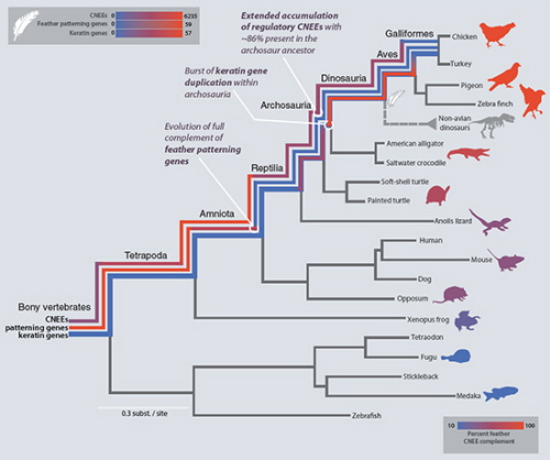 Z Lowe et al 2014