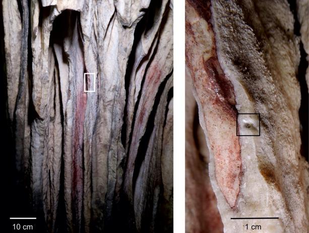 Fig. 3 Speleothem curtain 8 in section II-A-3 in Ardales cave with red pigment, painted before at least 65.5 ka ago. (Left) Series of curtains with red paint on top, partially covered with later speleothem growth. The white rectangle outlines the area shown at right. (Right) Detail of curtain 8. The black square indicates where carbonate, overlying the red paint, was sampled for ARD 13. See (20) for details.