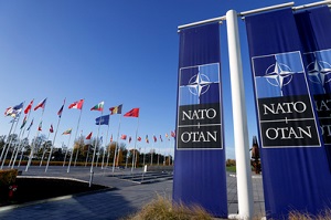 <span>Rozszerzenie NATO z 12 czonków w 1949 r. do 31 czonków obecnie jest jednym z najbardziej udanych osigni wspóczesnej dyplomacji. Powikszenie sojuszu „rozszerzyo obszar Europy, na którym wojny si nie zdarzaj”.</span>