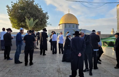 ydzi odwiedzajcy Wzgórze witynne w rod. (zdjcie: TEMPLE MOUNT ADMINISTRATION)