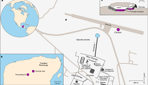 (Z artykuu) a, Pooenie regionu Majów w obu Amerykach. b, Pooenie geograficzne Chichén Itzá i Tixcacaltuyub na Pówyspie Jukatan. c, Stratygrafia chultún i przylegej jaskini, w której odnaleziono pochówek (na podstawie ref. 4). d, Pooenie chultún na stanowisku archeologicznym Chichén Itzá i jego zwizek z El Castillo (na podstawie ref. 10). Nowoczesne drogi s oznaczone kolorem jasnoszarym; chultún przylega do pasa startowego lotniska.