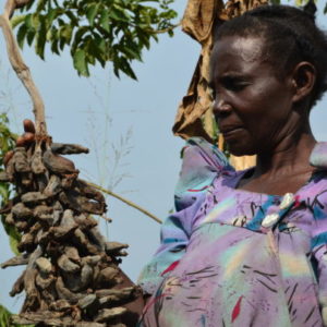 Frances Nanziri hopes to get access to GM technology to rescue her diseased banana farm.