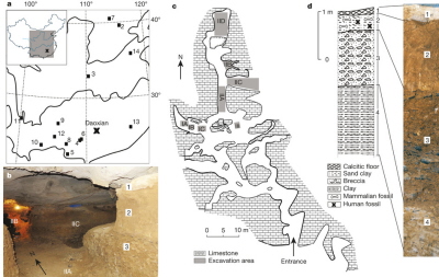 a, Location of the Daoxian site. Late Middle Pleistocene and Late Pleistocene localities with human remains that have been included in the morphological and/or metric comparison with Daoxian are also marked on the map. 2: Tianyuan Cave; 3: Huanglong Cave; 4: Liujiang; 5: Zhiren Cave; 6: Tubo; 7: Xujiayao; 8: Luna; 9: Chuandong; 10: Malu Cave; 11: Lijiang; 12: Longlin; 13: Huli Cave; and 14: Xintai. The map is adapted from the original Chinese map from National Administration of Surveying, Mapping and Geoinformation of China (http://219.238.166.215/mcp/index.asp). b, General view of the interior of the cave and the spatial relationship of regions IIA, IIB and IIC, with some of the layers marked. c, Plan view of the excavation area. d, Detail of the stratigraphic layers of region II of the Daoxian site. All human fossils come from layer 2.