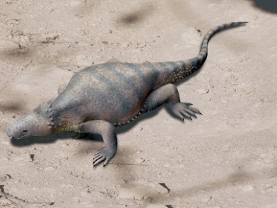 Rekonstrukcja Eunotosaurus africanus; Nobu Tamura, Wikipedia, CC BY-SA 4.0