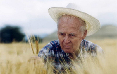 Norman Borlaug  - ojciec „zielonej rewolucji”, amerykaski biolog i agronom, hodujcy nowe odmiany bardziej odpornej i dajcej wysze plony pszenicy. Zielona rewolucja zakoczya klski godowe w Indiach i Pakistanie, radykalnie przyczynia si do poprawy zaopatrzenia w ywno w Meksyku i w innych krajach Ameryki Poudniowej. W 1970 roku otrzyma za swoje wysiki pokojow Nagrod Nobla.