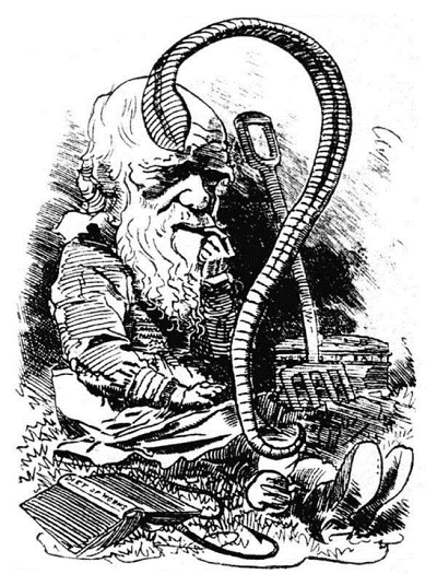 Darwin i jego robaki w karykaturze z Punch, 1882: