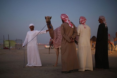 Beduini w Abu Dhabi. (Zdjcie: Dan Kitwood/Getty Images)
