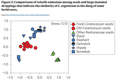 (from the paper): Similarity in the composition of volatile blends of seeds and animal droppings is based on non-metric multidimensional scaling. Symbols for other Restionaceae (Methods, Supplementary Table 3) that overlap are slightly offset for clarity. The composition of scent sampled from Ceratocaryum seeds is very similar (R = 0.75, P = 0.33) to that of dung of local herbivores (eland and bontebok), but differs markedly (R = 1.0, P = 0.028) from that of seeds of other Restionaceae (nested ANOSIM permutation test). 