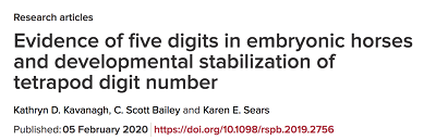 https://royalsocietypublishing.org/doi/10.1098/rspb.2019.2756