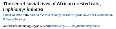 https://academic.oup.com/jmammal/advance-article/doi/10.1093/jmammal/gyaa127/5986404?guestAccessKey=c47fc9ed-5489-4550-a244-d1d83fa20511