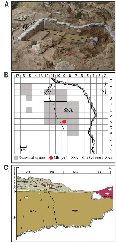A) The excavation area and the location of the Misliya-1 maxilla (red dot). Squares K9 to K12 are indicated. (B) Map of the Misliya Cave Upper Terrace excavations (1 m2 grid) with denoted excavated squares and showing the location of the human maxilla (Misliya-1). (C) Stratigraphic section of the Upper Terrace, squares K9 to K12. Apart from Unit 2, a Terra Rosa soil intrusion, all units contain EMP finds or assemblages. The present-day dripline roughly separates between highly cemented (Units 1,3,5) and more loosely cemented (Units 4 and 6) sediments. Misliya-1 was retrieved from the upper part of Unit 6.