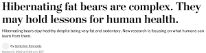 https://www.washingtonpost.com/wellness/2022/10/05/fat-bears-hibernation/