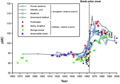 (from paper): Fig. 1 Radiocarbon chronologies of the North Atlantic Ocean. Radiocarbon levels (pMC) of different origin (inorganic and dietary) over the past 150 years are shown. Open symbols (connected) reflect radiocarbon in marine carbonates (inorganic carbon source) of surface mixed and deeper waters (26, 36–38). Solid symbols reflect radiocarbon in biogenic archives of dietary origin (11, 14, 22, 24). The dashed vertical line indicates the bomb pulse onset in the marine food web in the early 1960s.