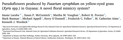 https://www.sciencedirect.com/science/article/abs/pii/S1087184520301572