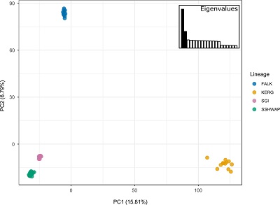 (From paper): Principal Components Analysis based on genetic data. The amount of variance explained by each principal component (PC) is displayed on the inset bar graphs and on the axes, and the number of PCs retained is indicated in black
