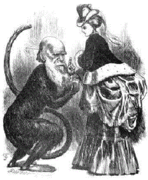 Wiktoriański karykaturzysta wyśmiewał darwinowska teorię doboru seksualnego. [Źródło: Wikipedia] 