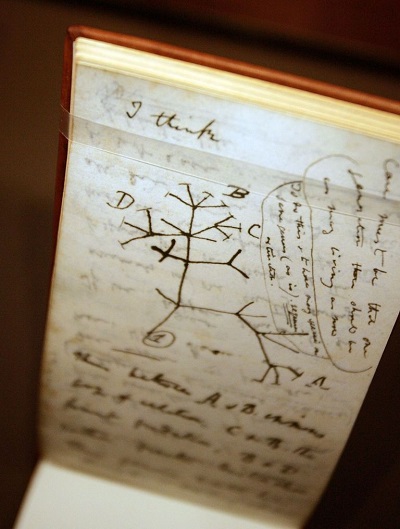 <span>Szkic ”Drzewa ycia” Charlesa Darwina ilustruje jego teori, e gatunki wyewoluoway od wspólnego przodka. (Zdjcie: Mario Tama/Getty Images)</span><br />