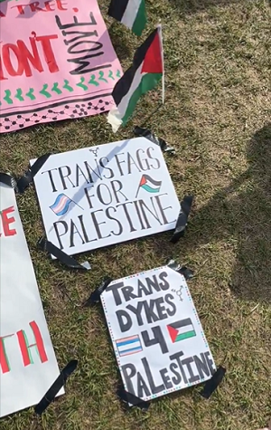 <span>Podczas gdy protestujcy na uniwersytetach Columbia i Yale wychwalaj Hamas i jego „opór” (eufemizm oznaczajcy przemoc i terroryzm), Arabowie wymiewaj „propalestyskich” demonstrantów na kampusach amerykaskich uczelni. Dla tych Arabów, w tym niektórych Palestyczyków, nie ma nic „propalestyskiego” we wspieraniu sponsorowanej przez Iran grupy terrorystycznej Hamas. Na zdjciu: antyizraelski antyizraelski obóz na kampusie Columbia University w Nowym Jorku  (Zdjcie: Olivia Reingold, twitter/X)</span>
