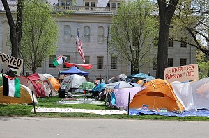 Obóz protestujcych student na Harvardzie. (ródo zdjcia: Wikipedia)