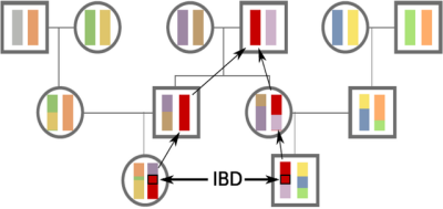 ródo: http://gcbias.org/european-genealogy-faq/