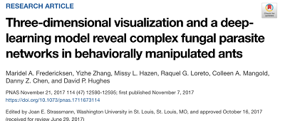 https://www.pnas.org/content/114/47/12590