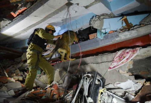 Zespó ratowniczy armii izraelskiej (IDF) w Nepalu. (zdjcie: IDF SPOKESMAN’S UNIT)